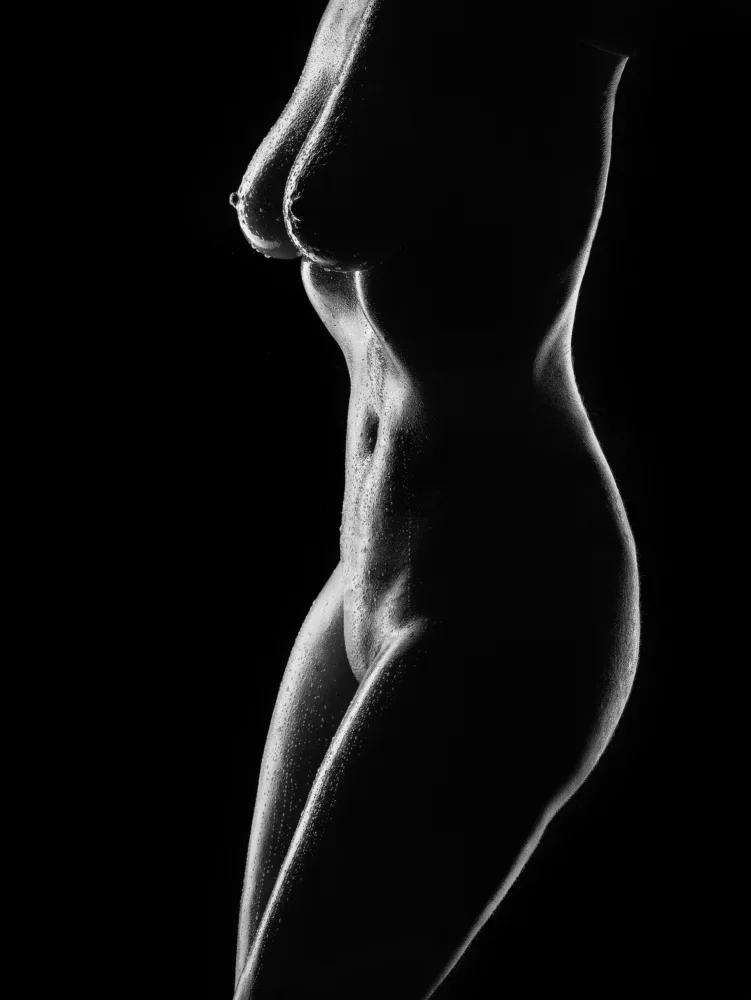 Allmaier, Michael: forme del corpo femminile