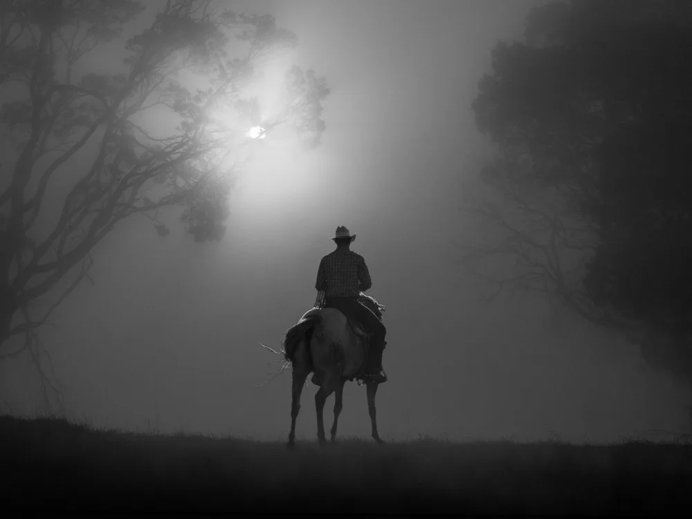 Ma, Frank: Riding in Dawn Mist
