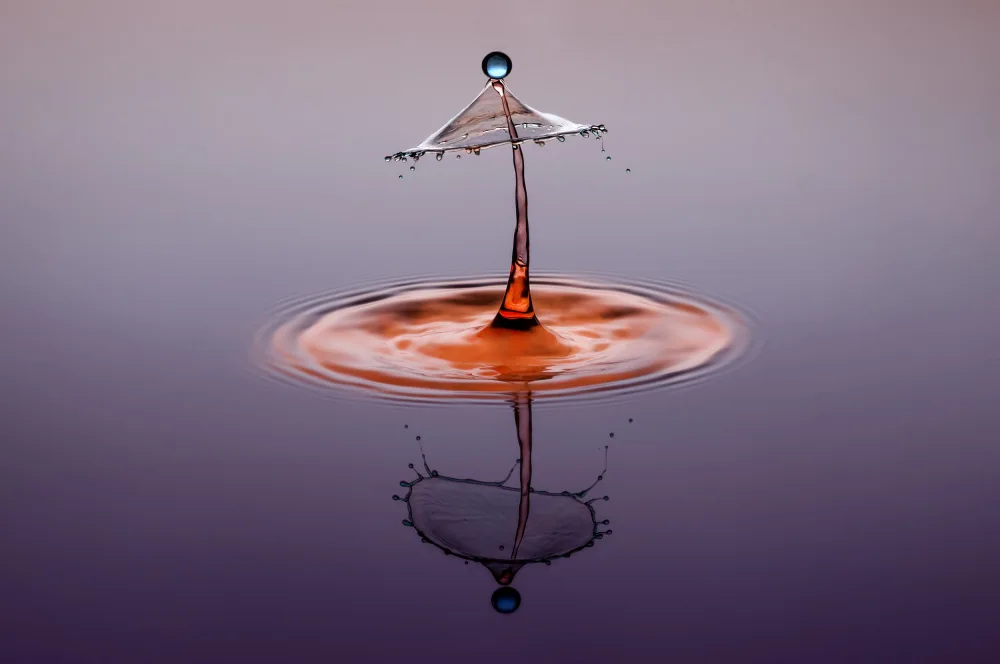 Pamungkas, Edy: Umbrella