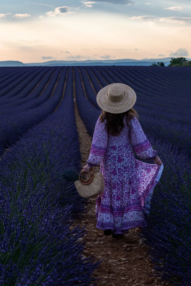 Galimberti, Marco: Lavender
