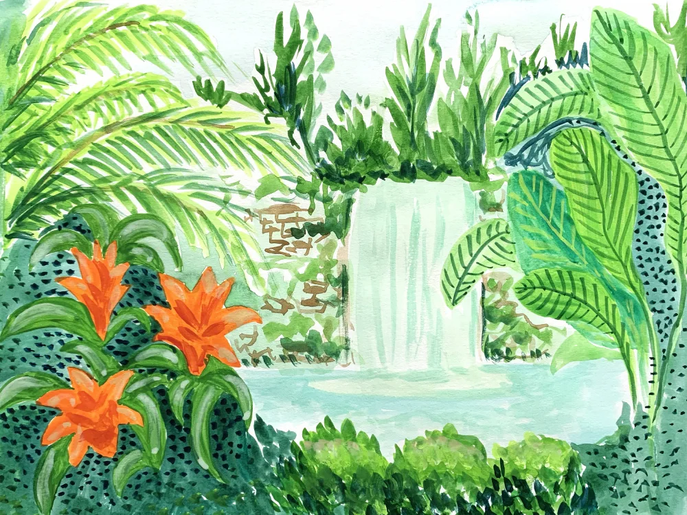KeyAndSea, Creative: Forêt tropicale