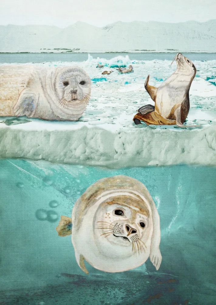 Pomata, M. Angeles: Arctic Expedition