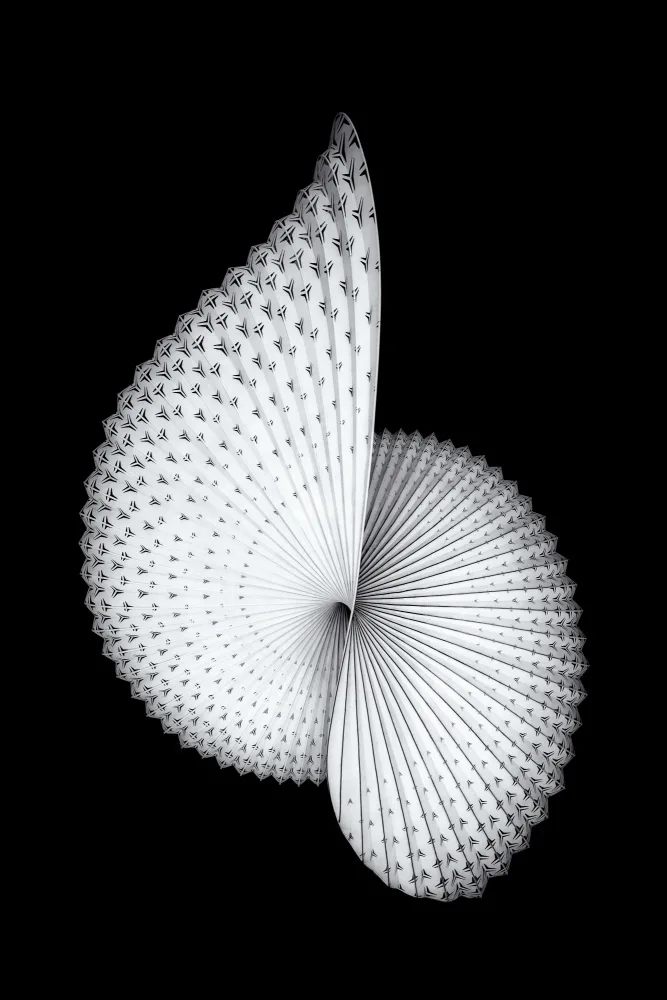 Xu, Mei: Nautilus-like Sculpture