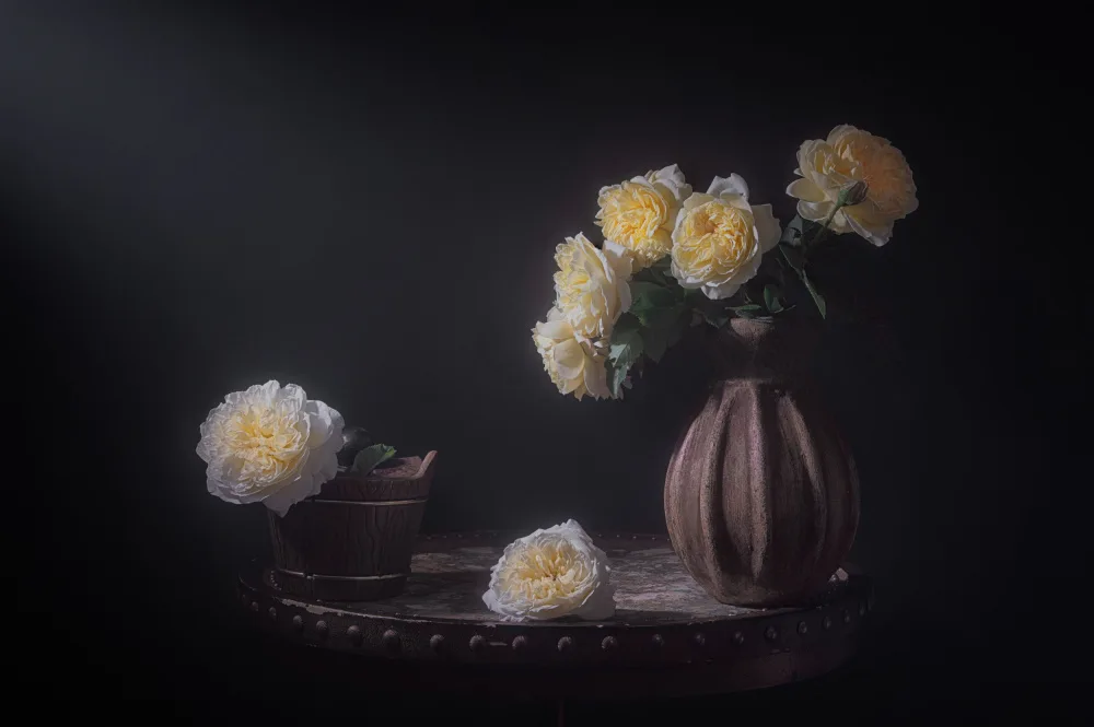 Jacobs, Lydia: Une rose assez fougueuse