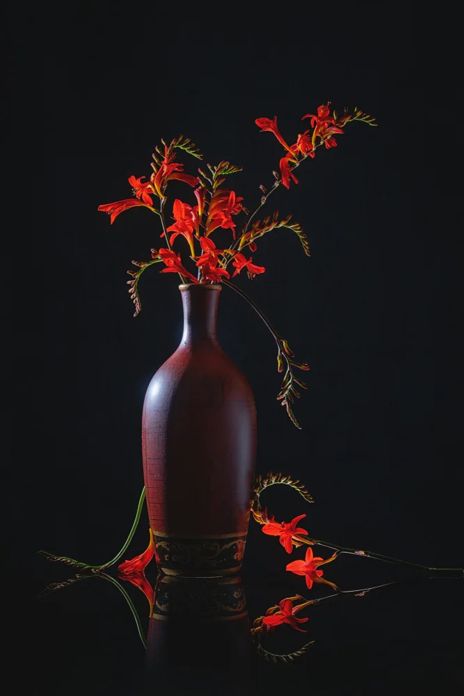 Jacobs, Lydia: Rote Luzifer-Blume