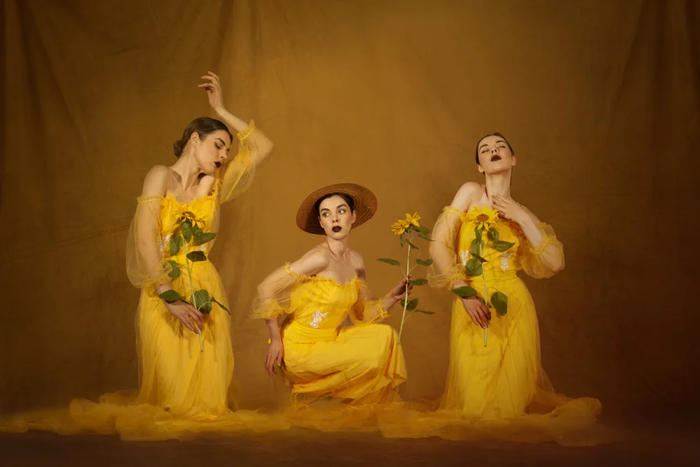 Diepenbroek, von Christine: les tournesols