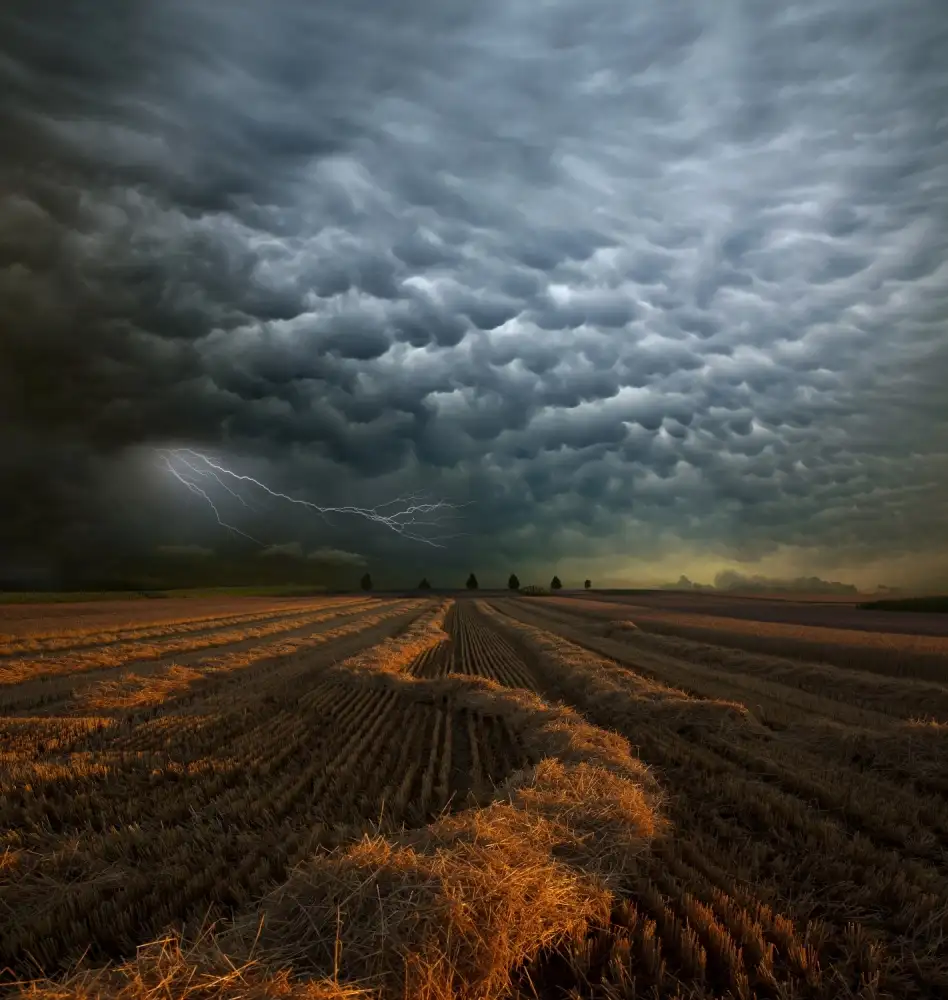 Schumacher, Nicolas: Mammatus