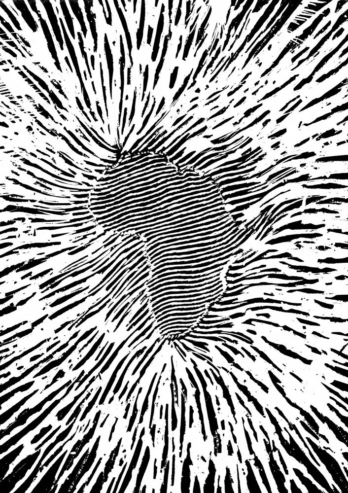 Kaminski, Carlo: Dynamic Africa (h)