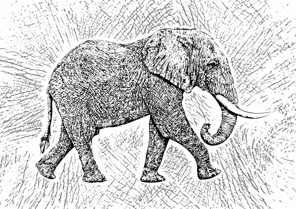 Kaminski, Carlo: Africa Elephant texture pattern