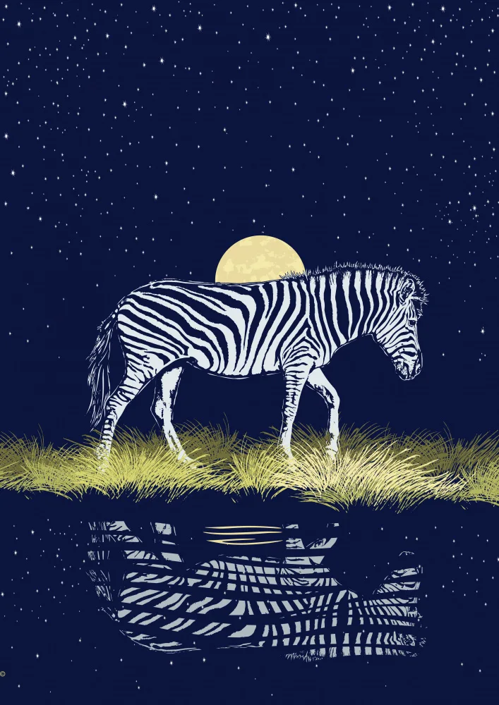 Kaminski, Carlo: Zebra at Waterhole Moonrise