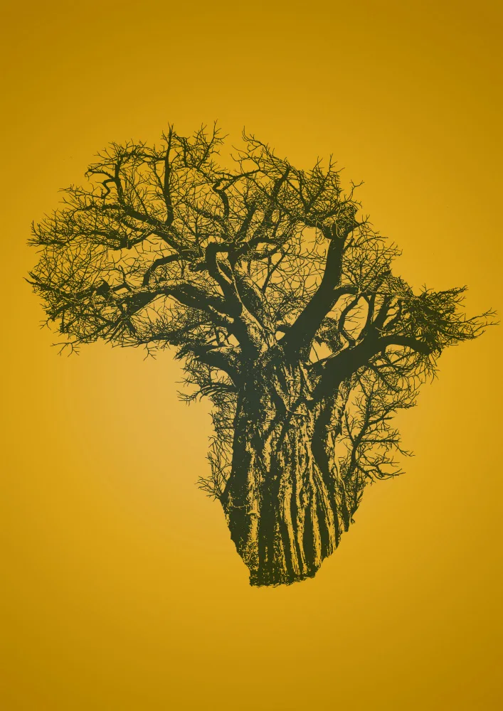 Kaminski, Carlo: Baobab africano al tramonto