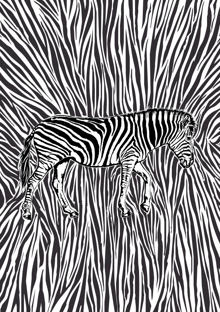 Kaminski, Carlo: African Zebra striking camouflage