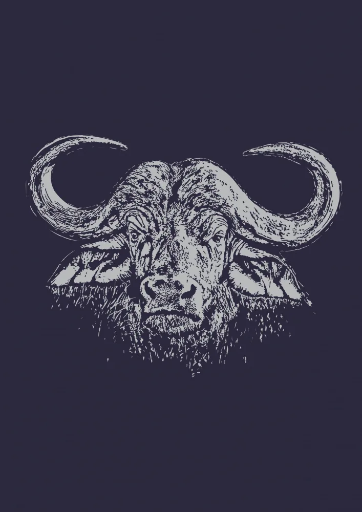 Kaminski, Carlo: Cape Buffalo and Oxpecker