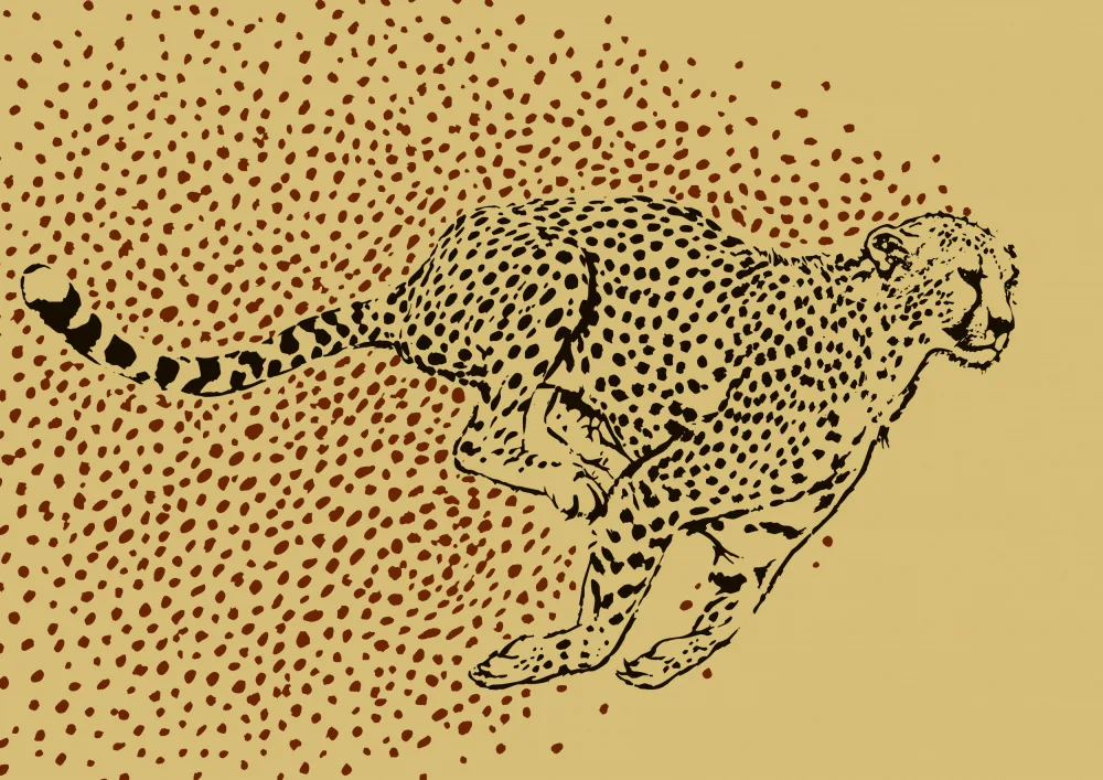 Kaminski, Carlo: Cheetah Full Sprint