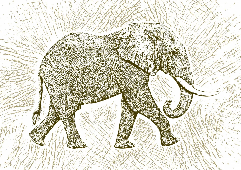 Kaminski, Carlo: Africa Elephant texture pattern