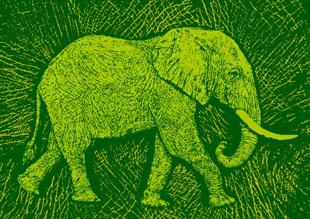 Kaminski, Carlo: Africa Elephant texture pattern