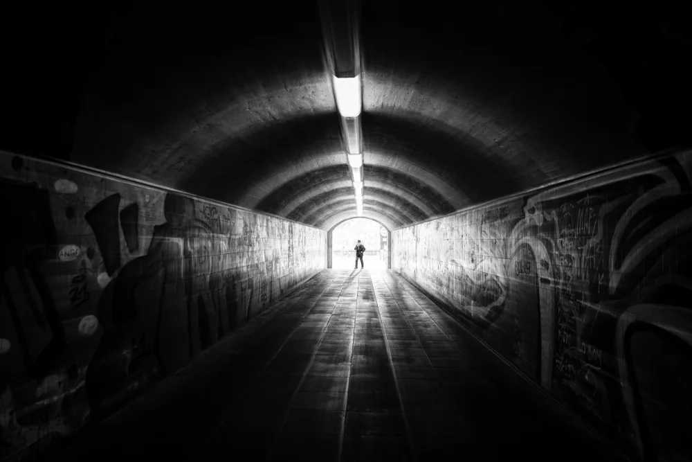 Schleicher-Schwarz, Roswitha: from light to dark