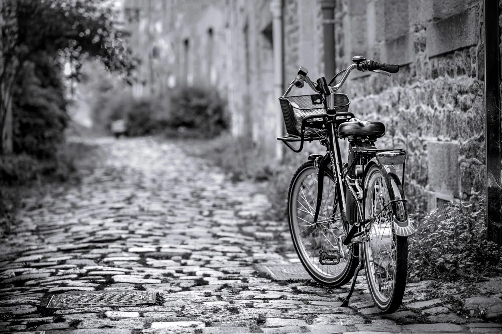 Vales, Didier: Il Velo