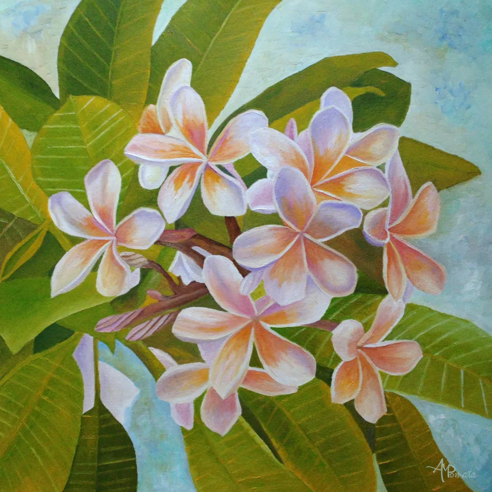Pomata, M. Angeles: Plumeria