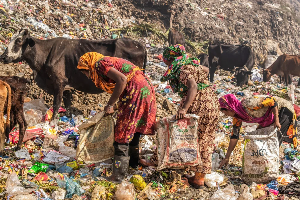 Kucharova, Radana: Cittagong garbage field