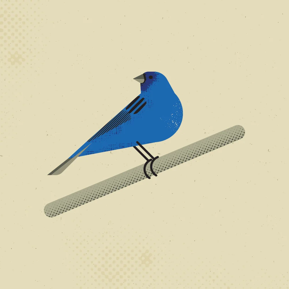 Art, Grasp Vision: Indigo Bunting