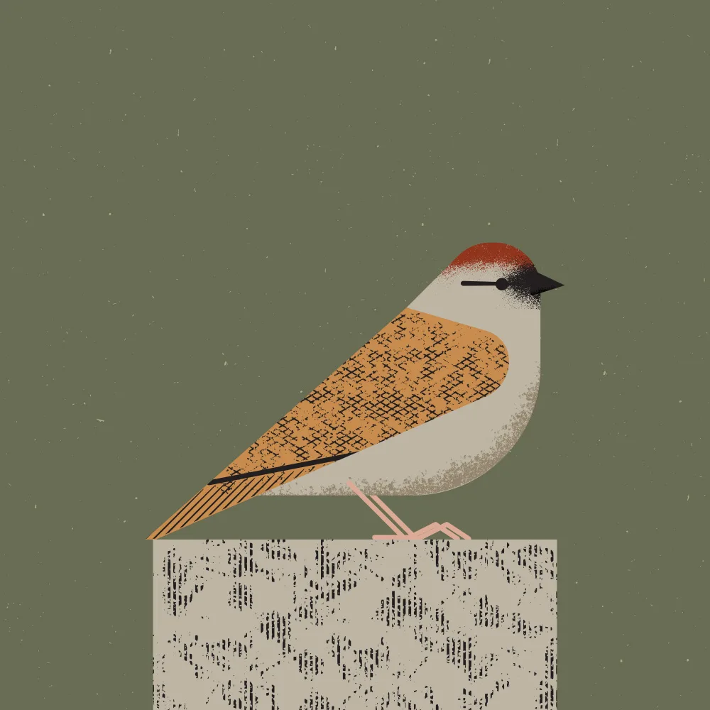 Art, Grasp Vision: Sparrow