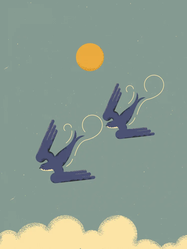 Art, Grasp Vision: Swallows
