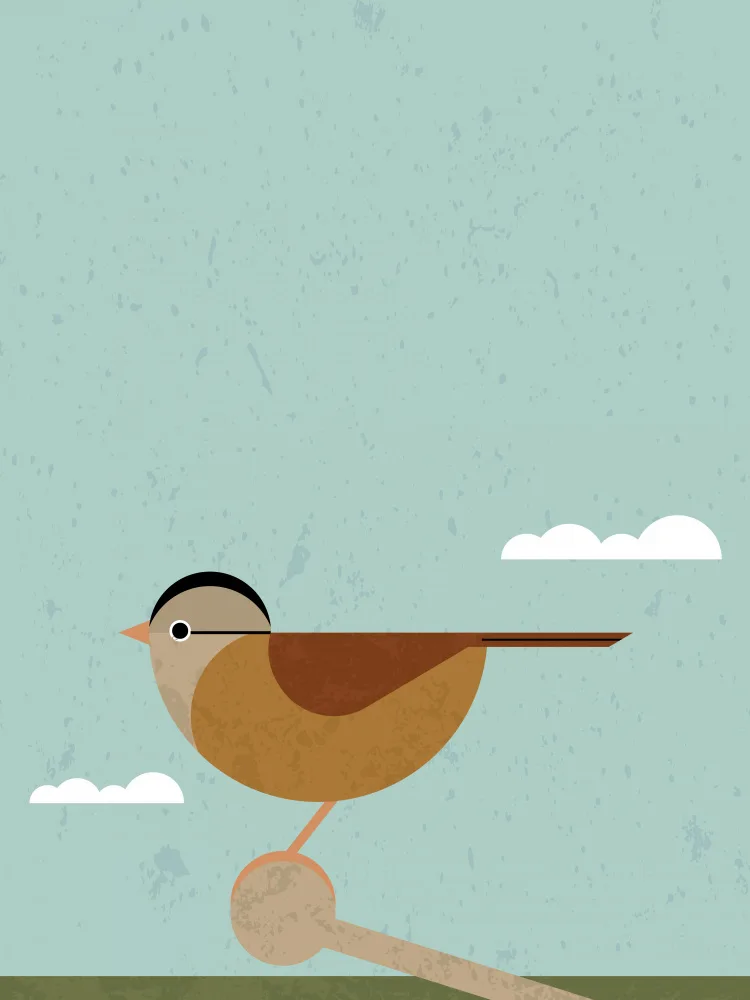 Art, Grasp Vision: Sparrow 2