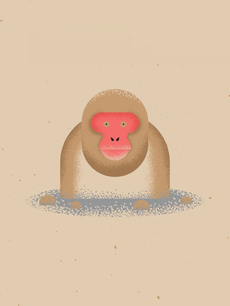 Art, Grasp Vision: Snow Monkey