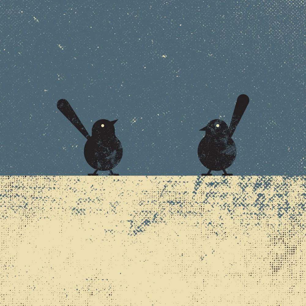 Art, Grasp Vision: Des oiseaux