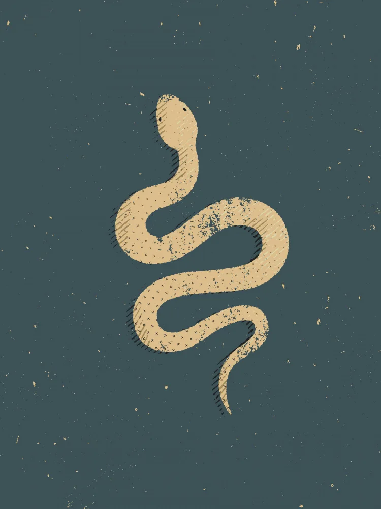 Art, Grasp Vision: Snake