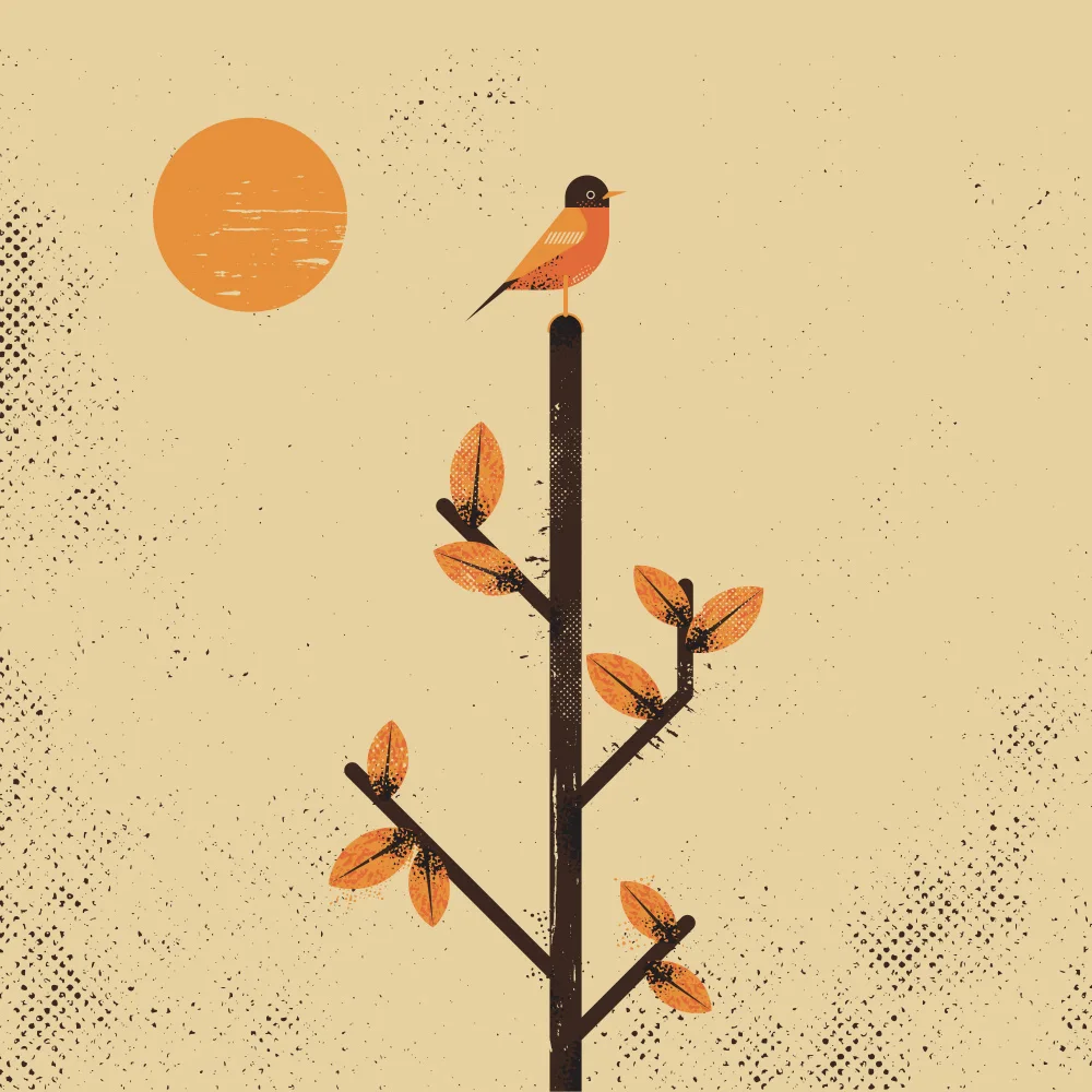 Art, Grasp Vision: Migration
