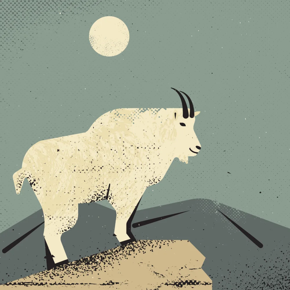Art, Grasp Vision: Mountain Goat