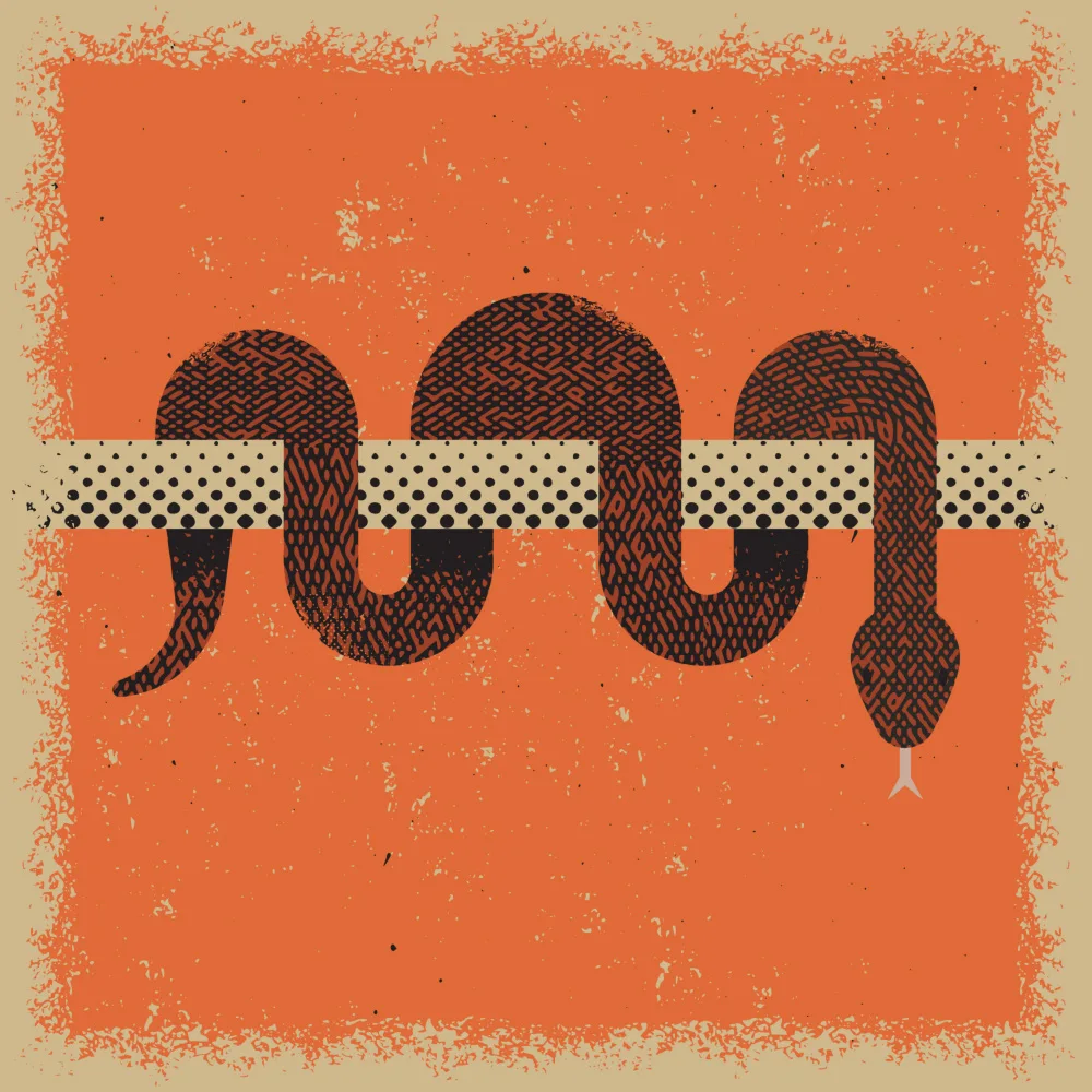 Art, Grasp Vision: Snake 2