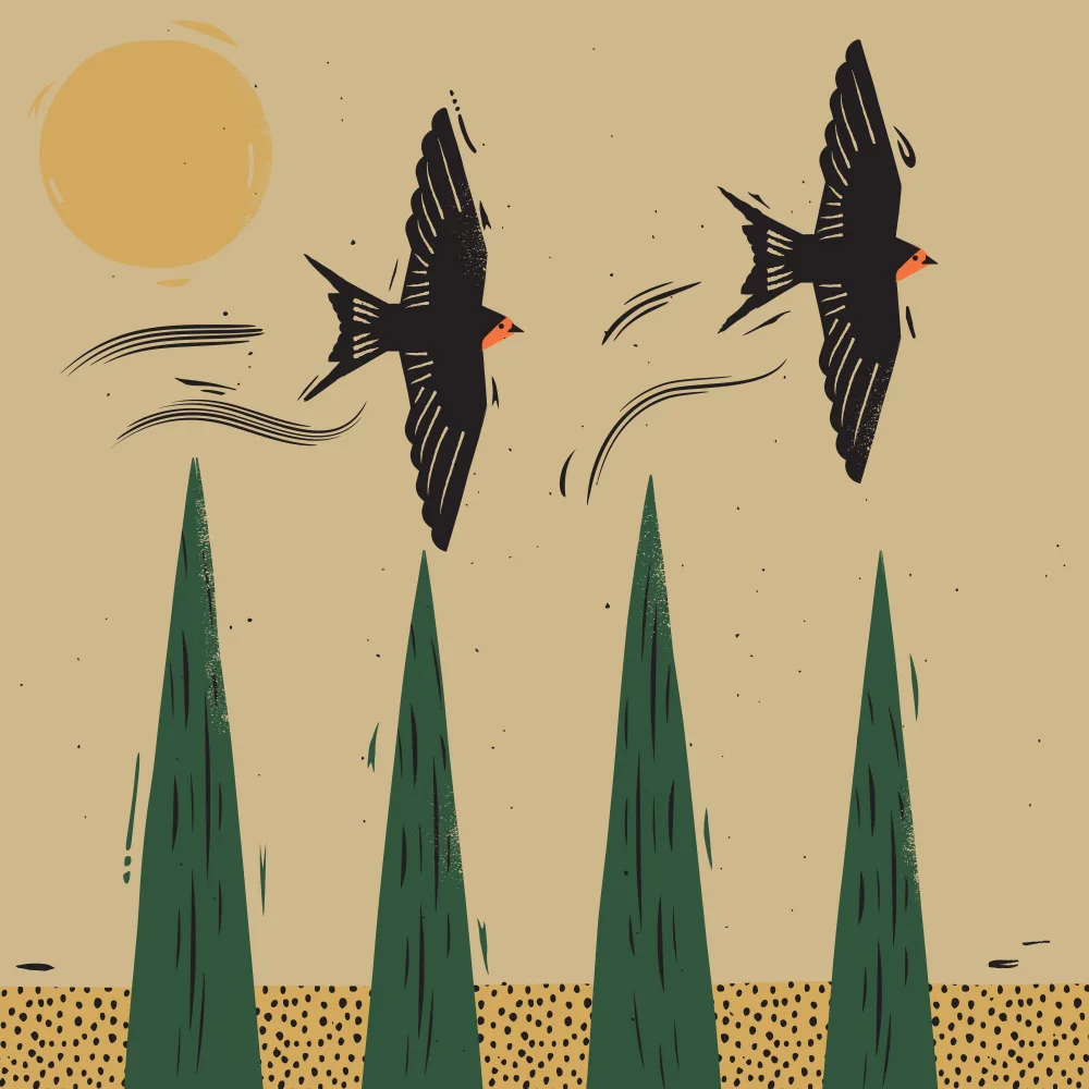 Art, Grasp Vision: Flight