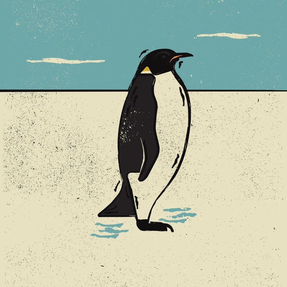 Art, Grasp Vision: Penguin