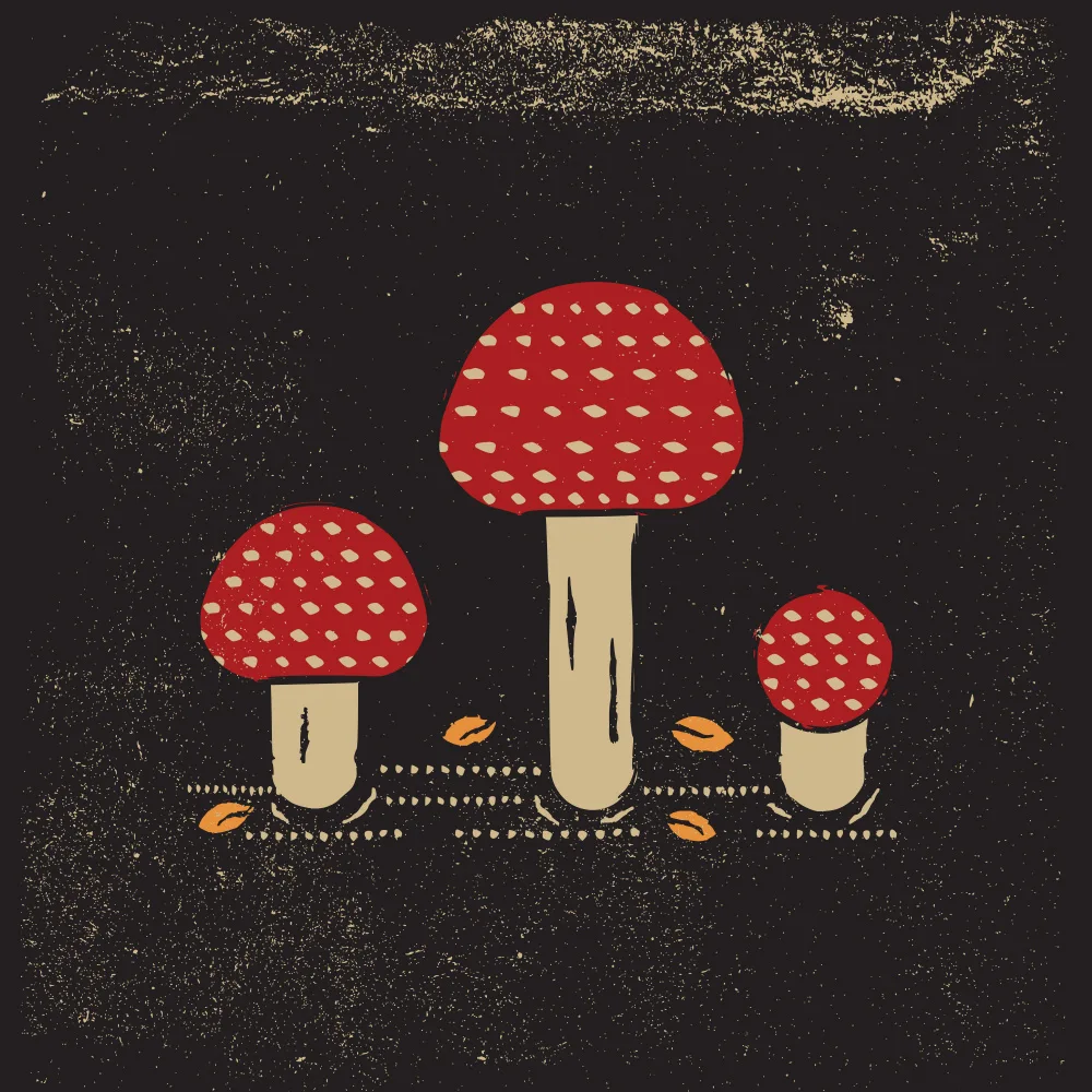 Art, Grasp Vision: Mushrooms
