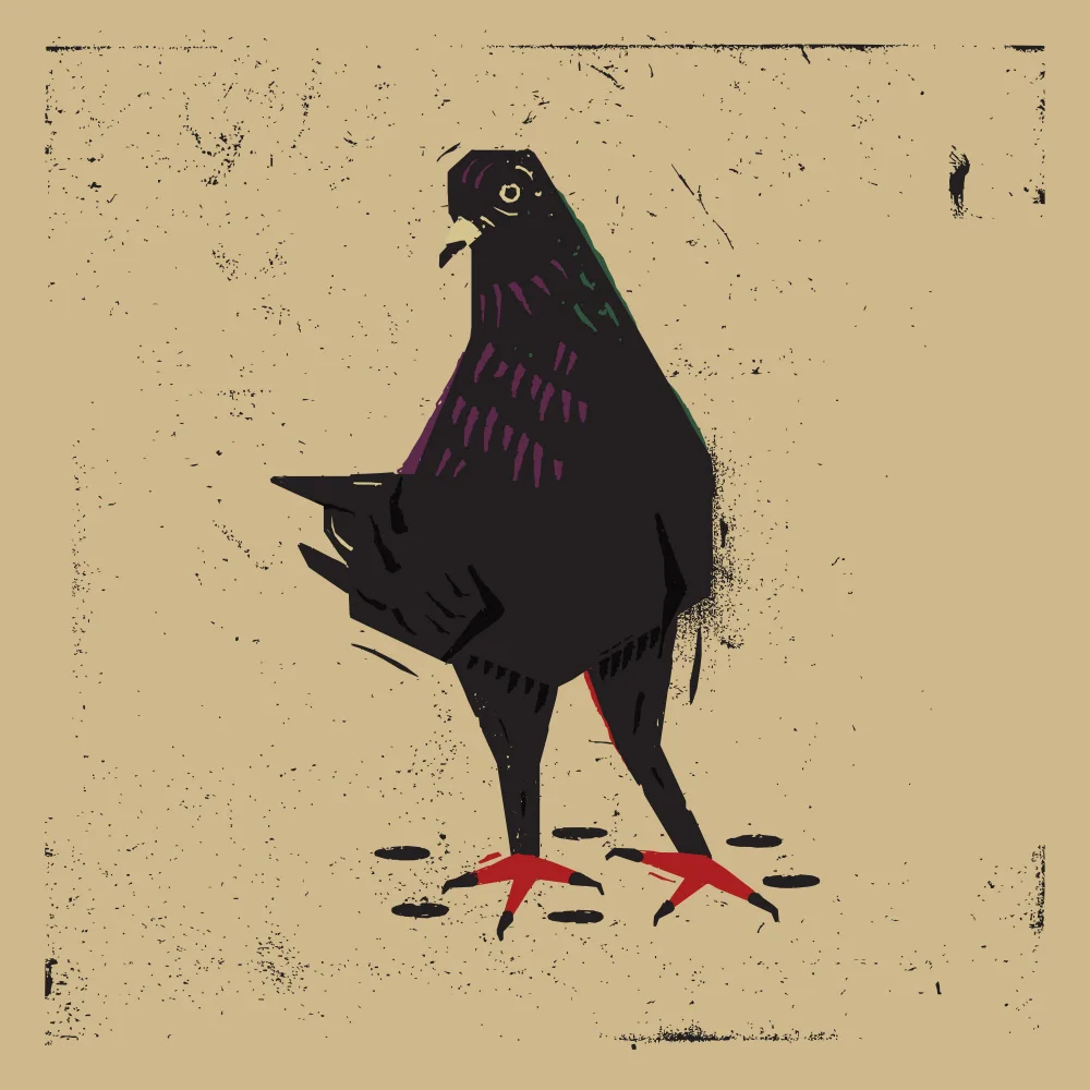 Art, Grasp Vision: Pigeon
