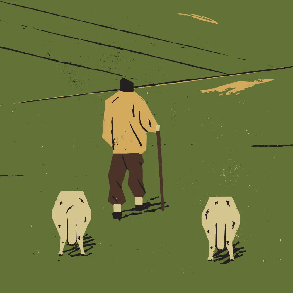 Art, Grasp Vision: Shepherd