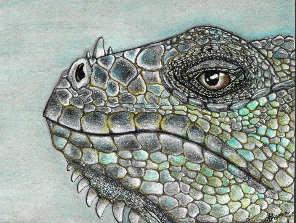 Theron, Sunet: In the eyes of the beholder