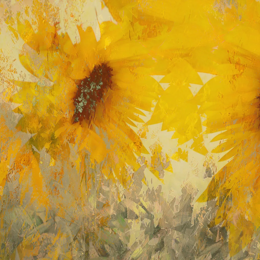 Talen, Nel: Sunflower