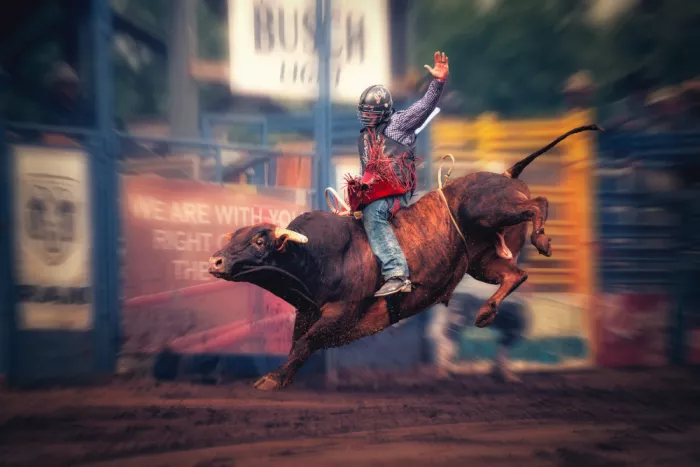 Zhang, Robert: Bull Riding
