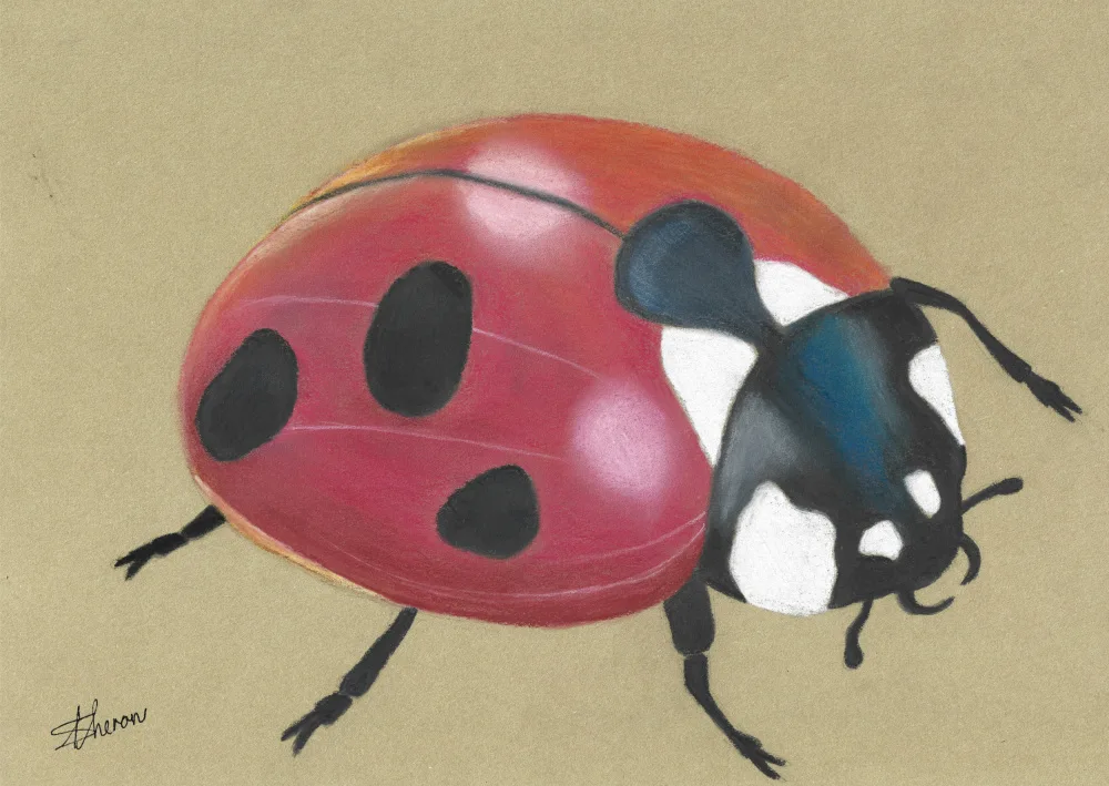 Theron, Sunet: Lady Bird