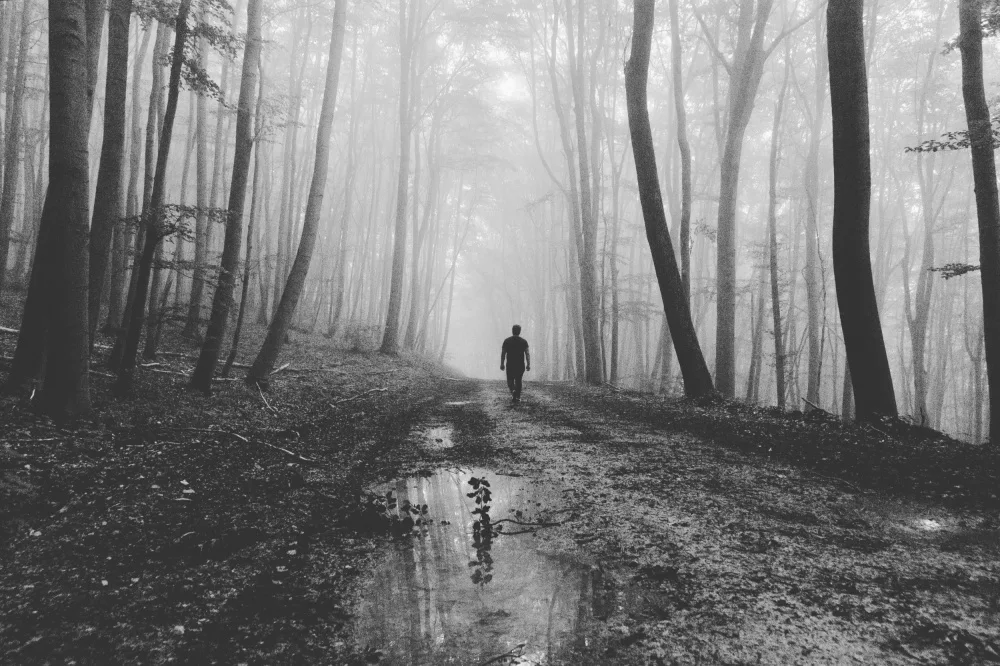 Kuavi, Robert: On my way