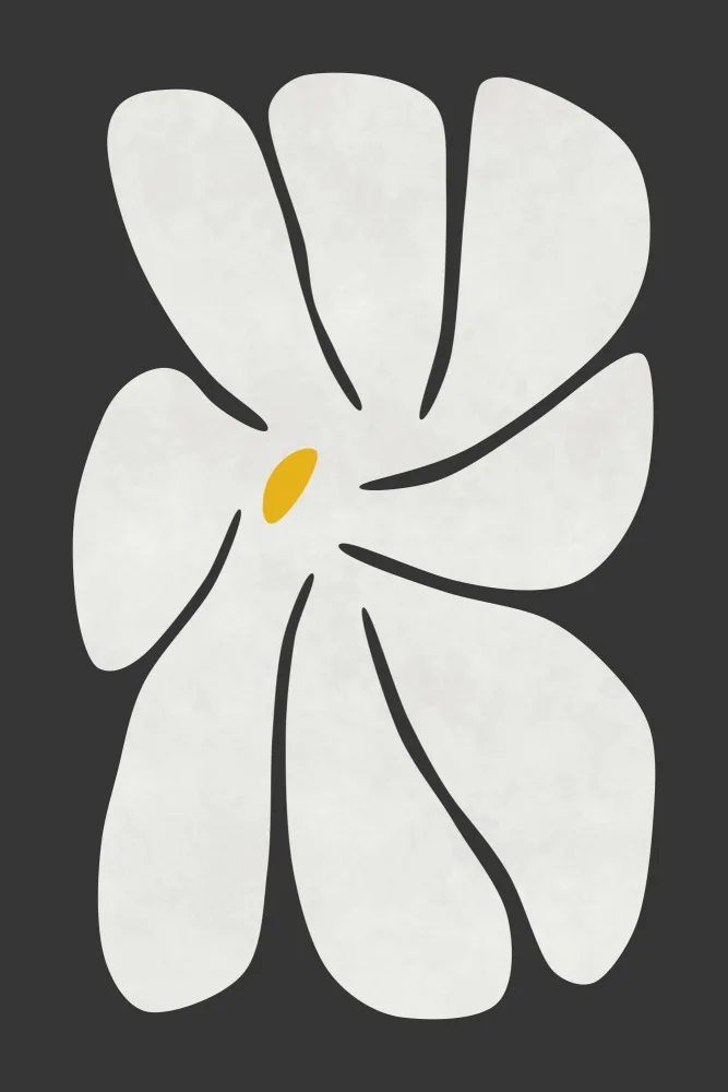 amini54: Marguerite blanche