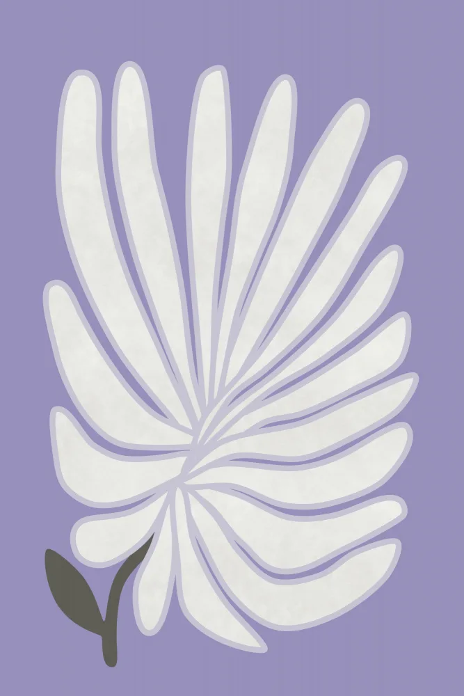 amini54: Fleur de chrysanthème blanc