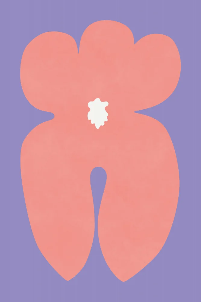 amini54: Pink Orchid Flower