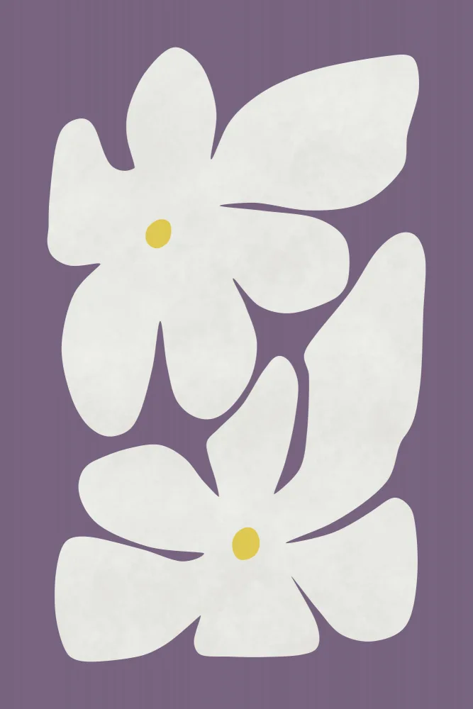 amini54: White Narcissus Flower