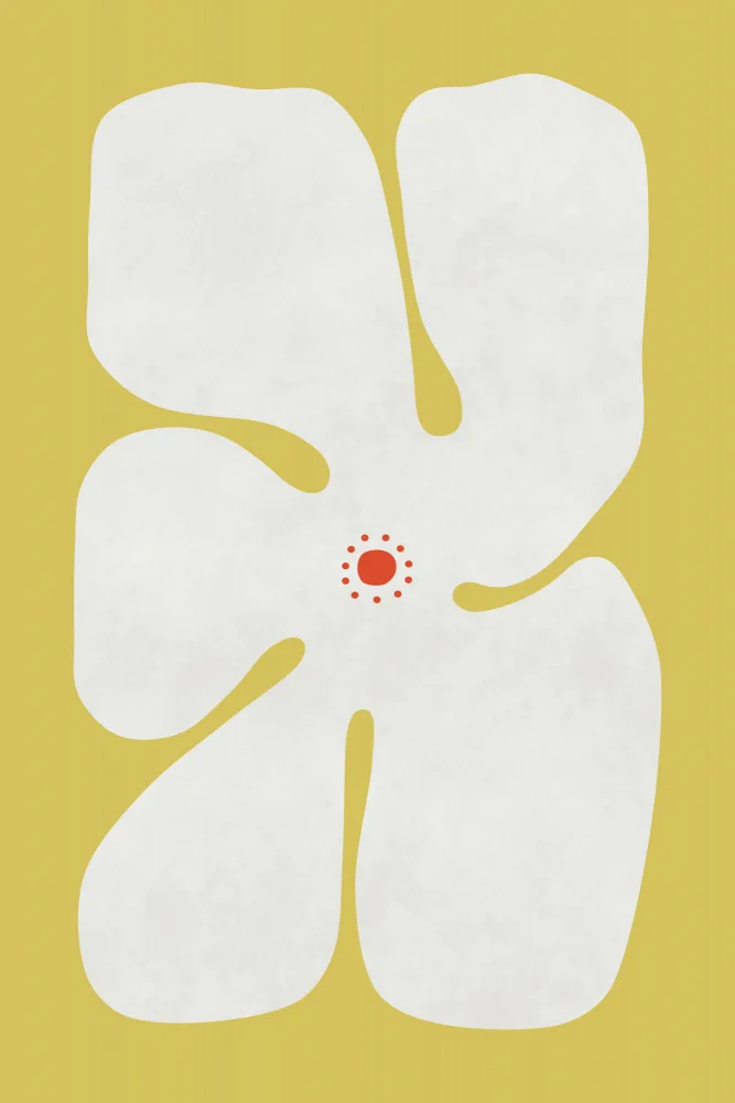amini54: Fiore Di Papavero Bianco