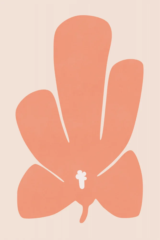amini54: Coral Tulip Flower
